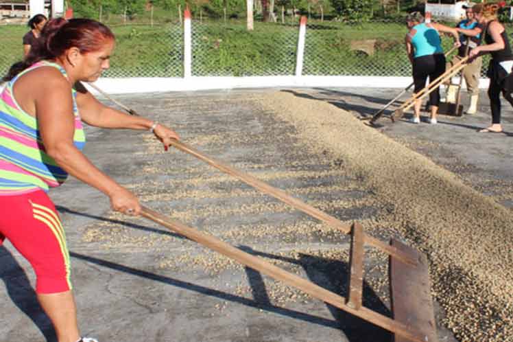 Provincia de Cuba favorece exportación del sector agrícola