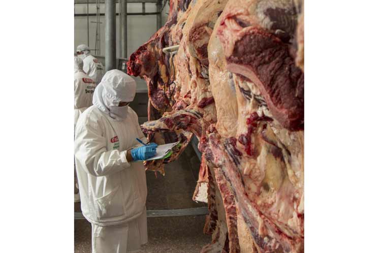 Bolivia exportó 10 mil toneladas de carne bovina hasta junio