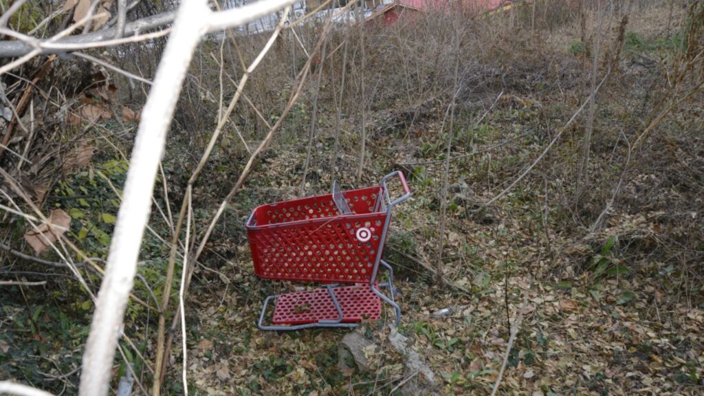 “Asesino del carrito de compra”: identifican a dos víctimas y creen haber hallado a una quinta