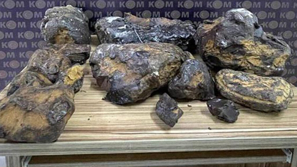 VIDEO: Incautan en Turquía ‘vómito de ballena’ valorado en más de 730.000 dólares